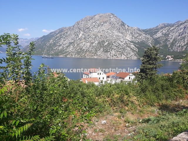 Kuca, Kotor