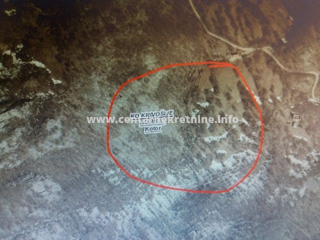 Property Krivošije Gornje