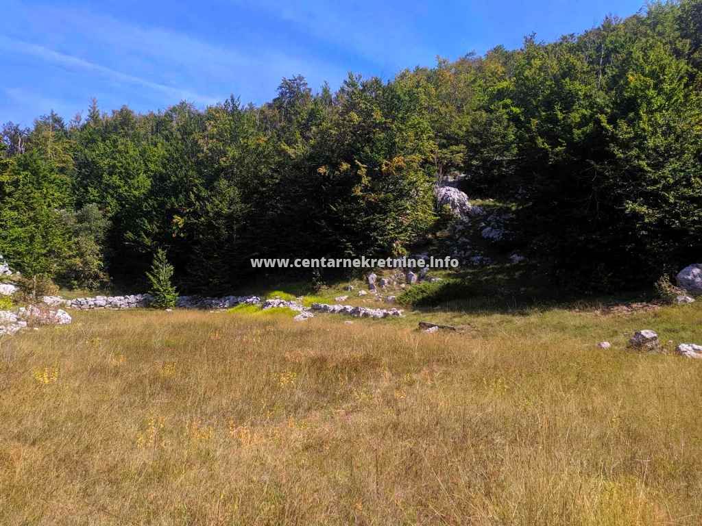 Imanje, Ivanova korita