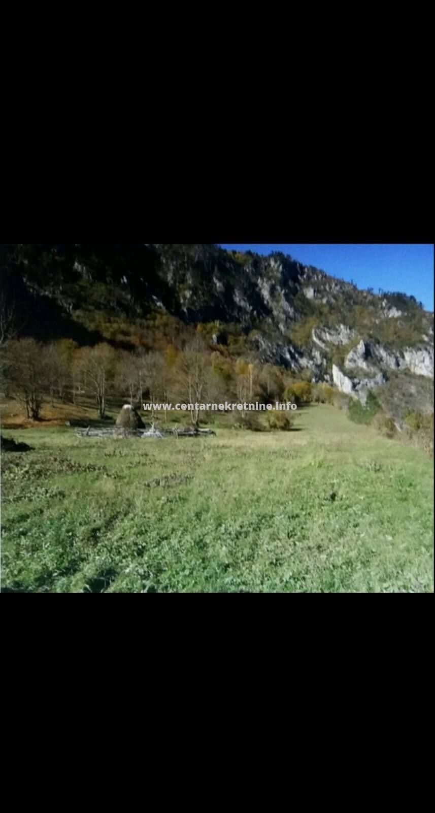 real estate