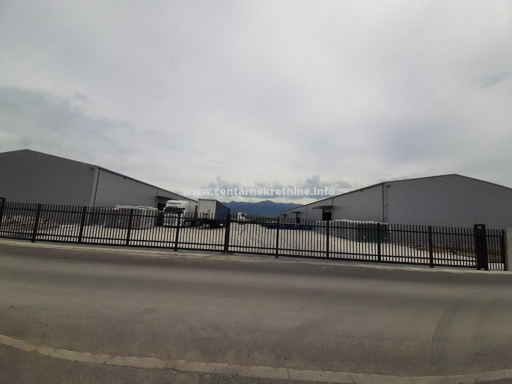 Magacin , Kuće Rakića